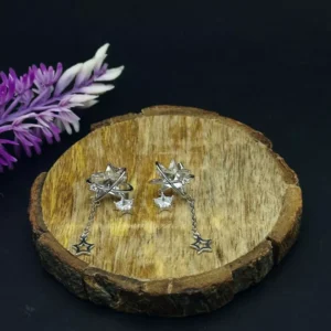 Celestial Charm: Star Drop Earrings
