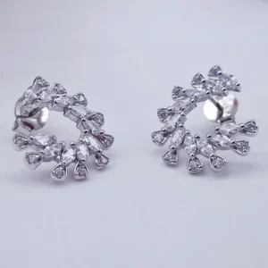 Moonlit Charm Heart Drop Earrings