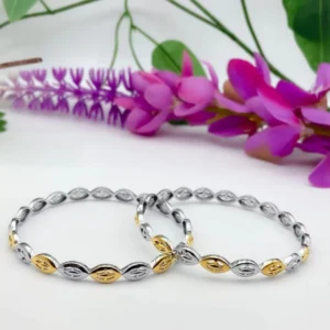 Radiant Duo: Dual-Tone Silver Bangles Pair in Gold Polish