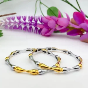 Radiant Duo: Sling Dual-Tone Silver Bangles Pair