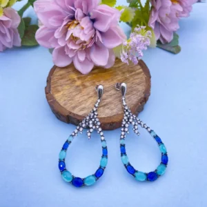 untitled-design-3-674ec80132bb9 Oceanic Radiance: Elegant Silver Earrings