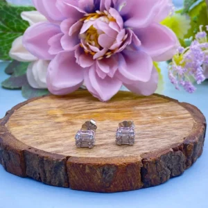 untitled-design-7-674ec809bc35b Petite Gleam: Silver Stud Earrings